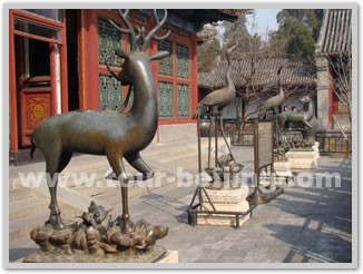 Beijing City Bus Tour